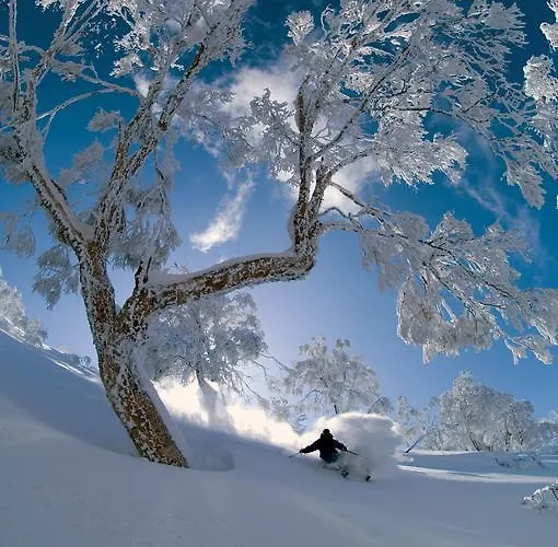 Soelle Homes Nassfeld