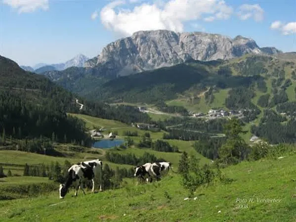 Apartmán Soelle Homes Nassfeld *